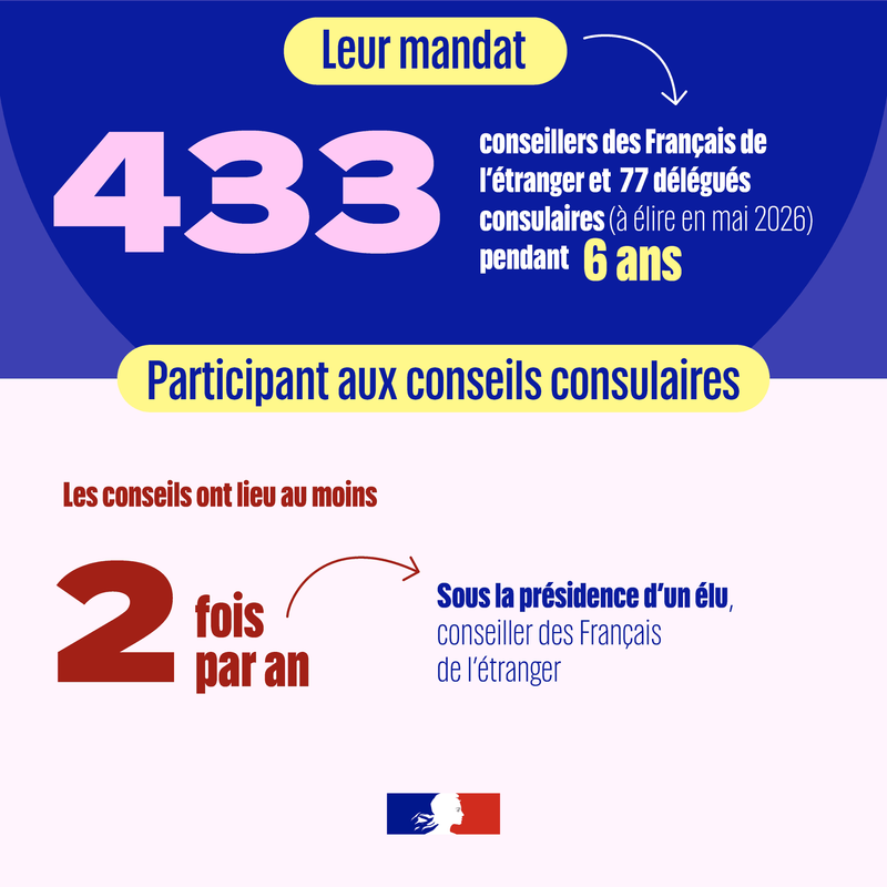 French consular elections: how does it work?