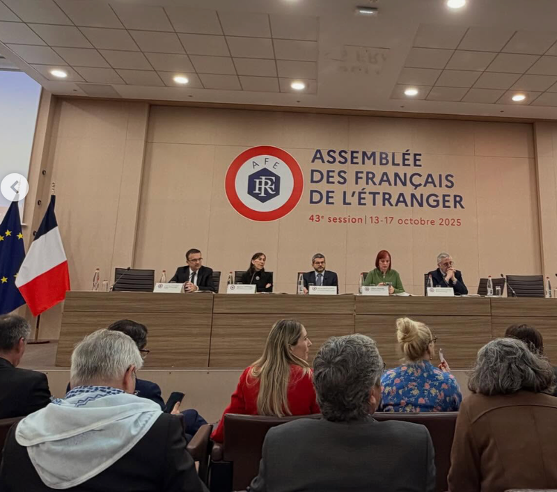 All you need to know on the election for the Assembly for French from Abroad (AFE)